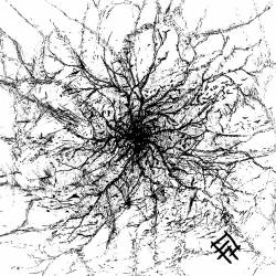 Our Blood - Is Our Stars